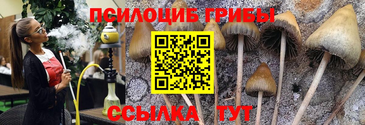 Галлюциногенные грибы GOLDEN TEACHER  Галлюциногенные грибы Cubensis  Сафоново  Вход с VPN 